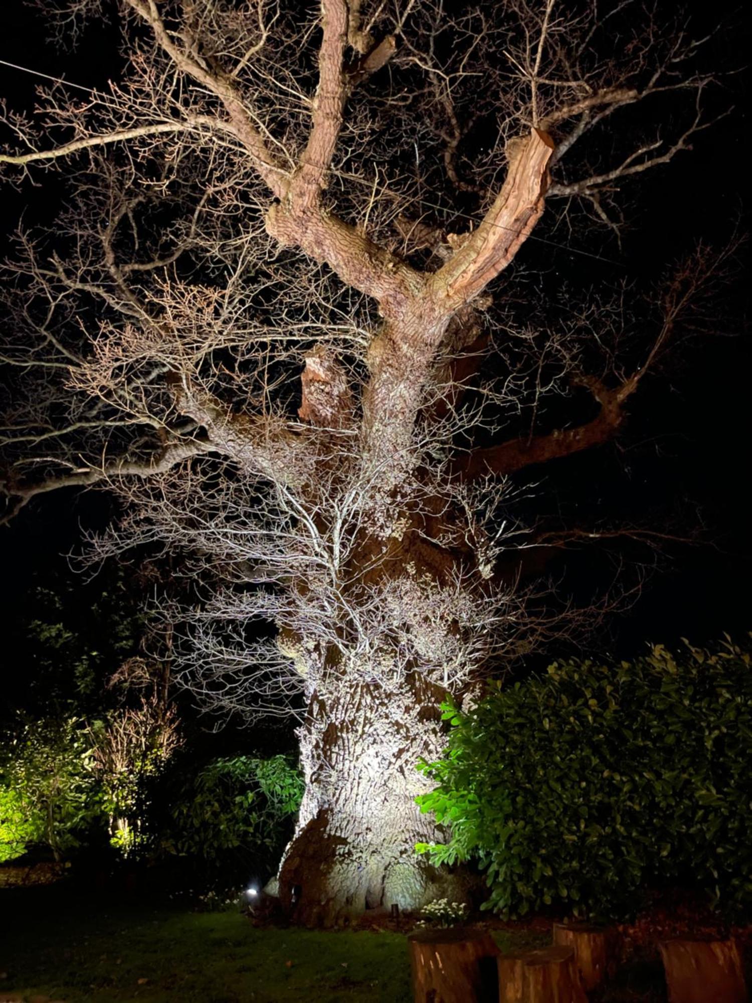 Villa Oak Tree Hideaway Whitchurch  Esterno foto